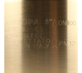 Клапан обратный пружинный муфтовый с металлическим седлом EUROPA 100 4 Itap в Владимире 7