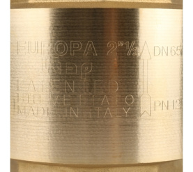 Клапан обратный пружинный муфтовый с металлическим седлом EUROPA 100 2 1/2 Itap в Владимире 7